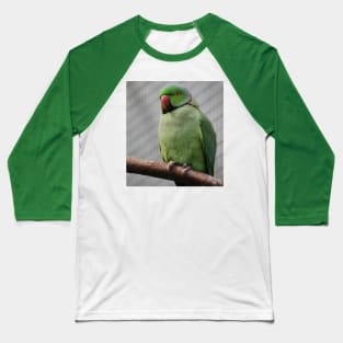 Perched Parakeet Baseball T-Shirt
